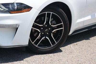 2023 Ford Mustang EcoBoost Convertible