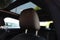 2020 BMW 2 Series 228i xDrive